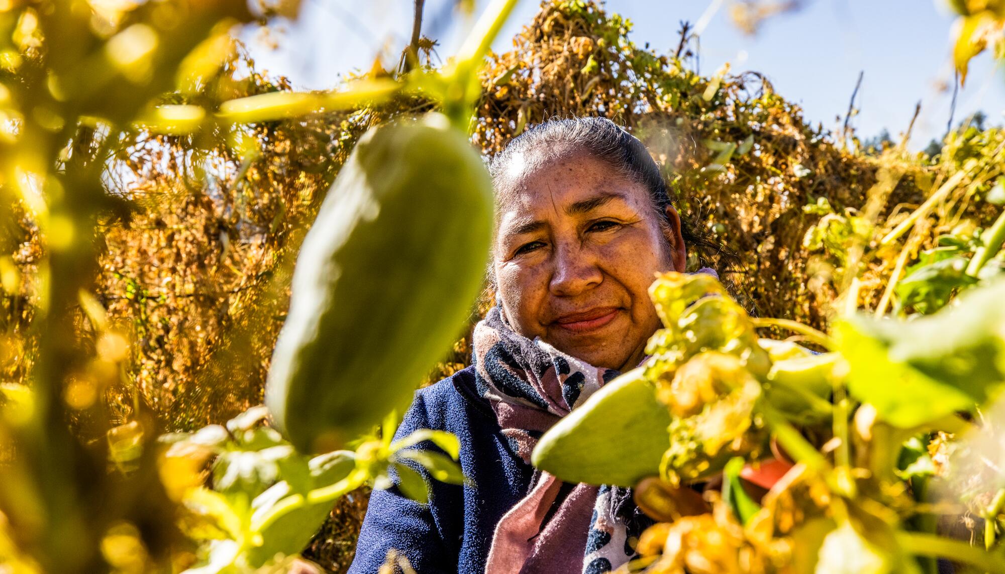 Proyecto financiado por Oikocredit